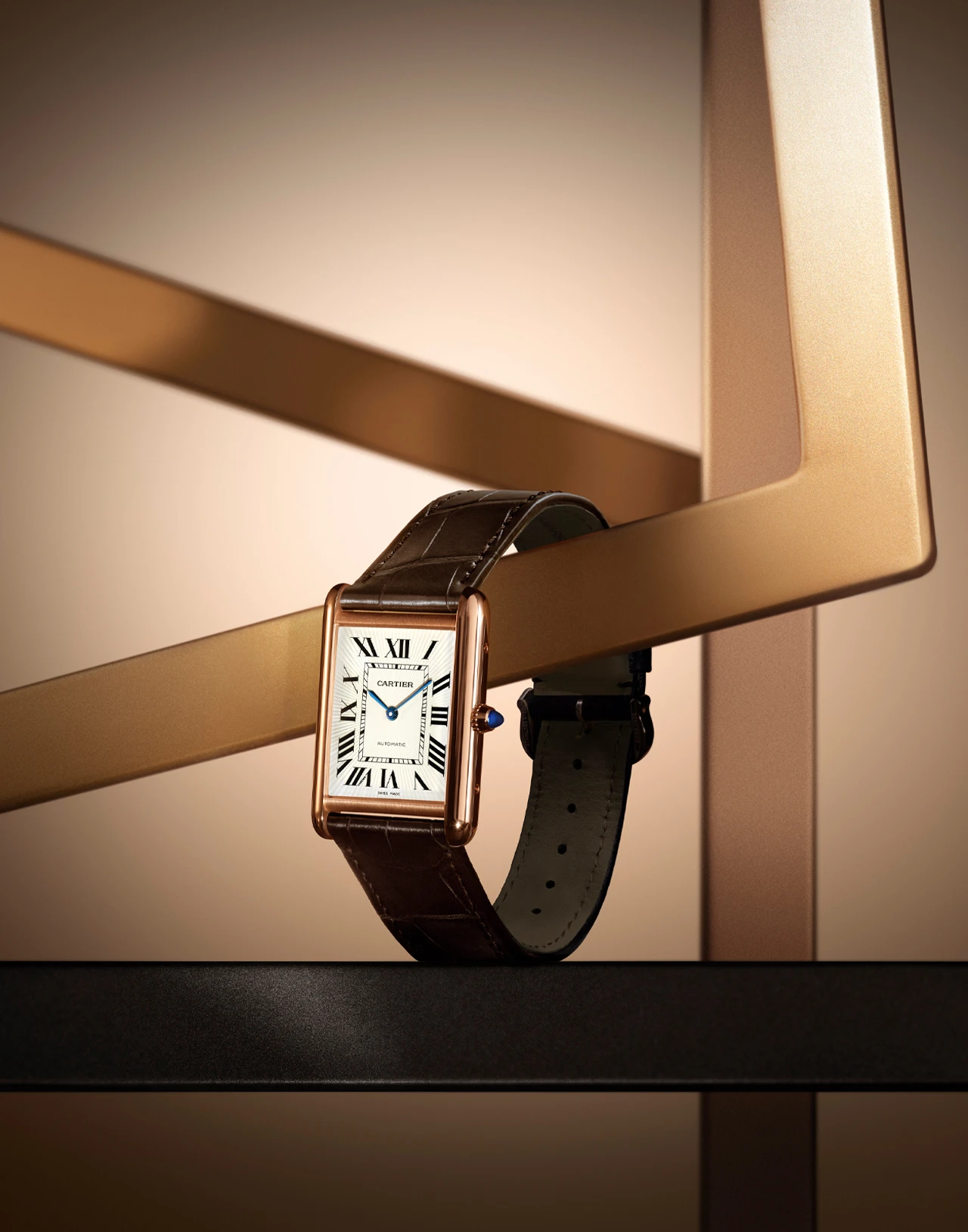 Photo of the Tank Louis Cartier Watch