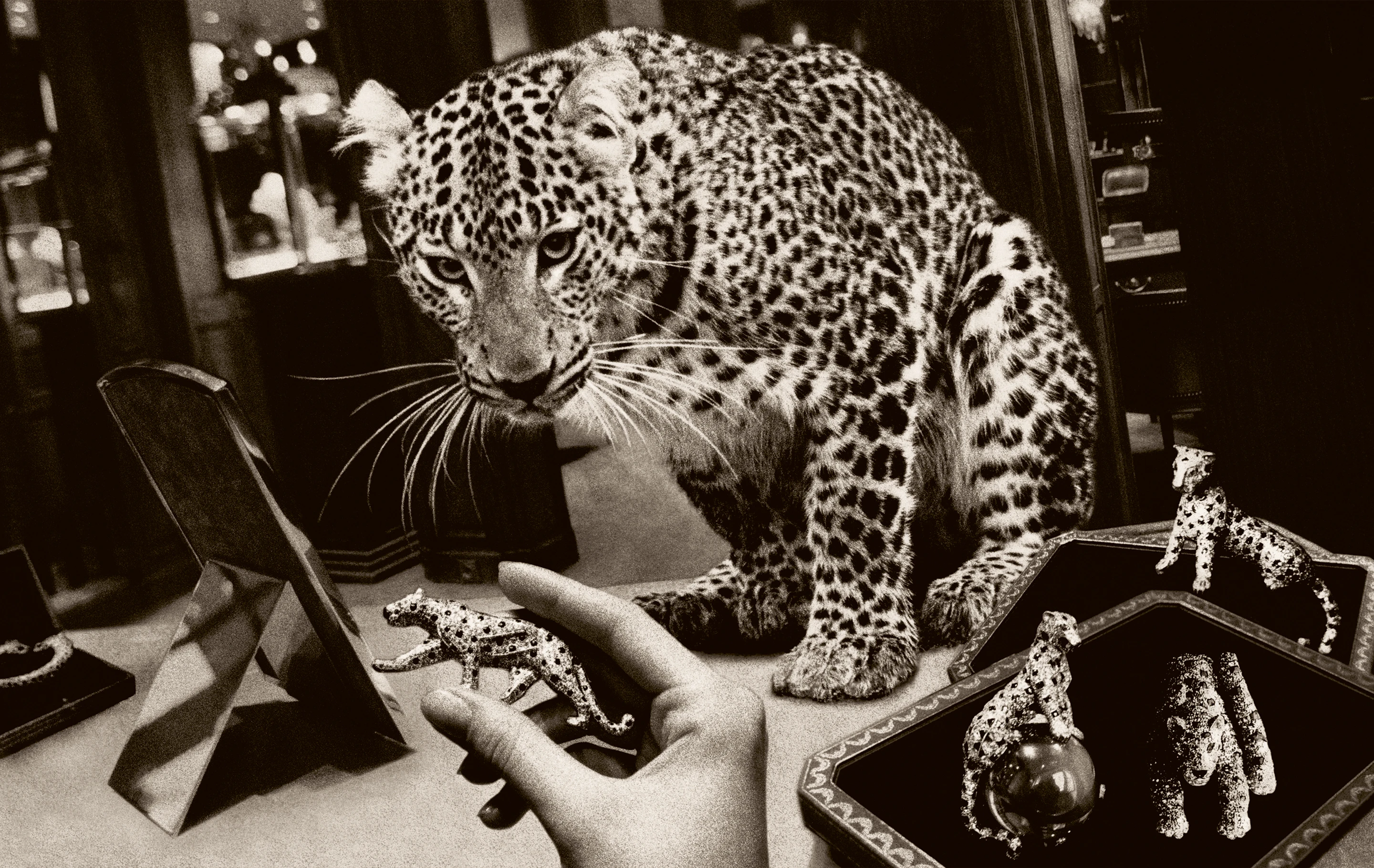 chapter-3-article-5.FullscreenImage.alt