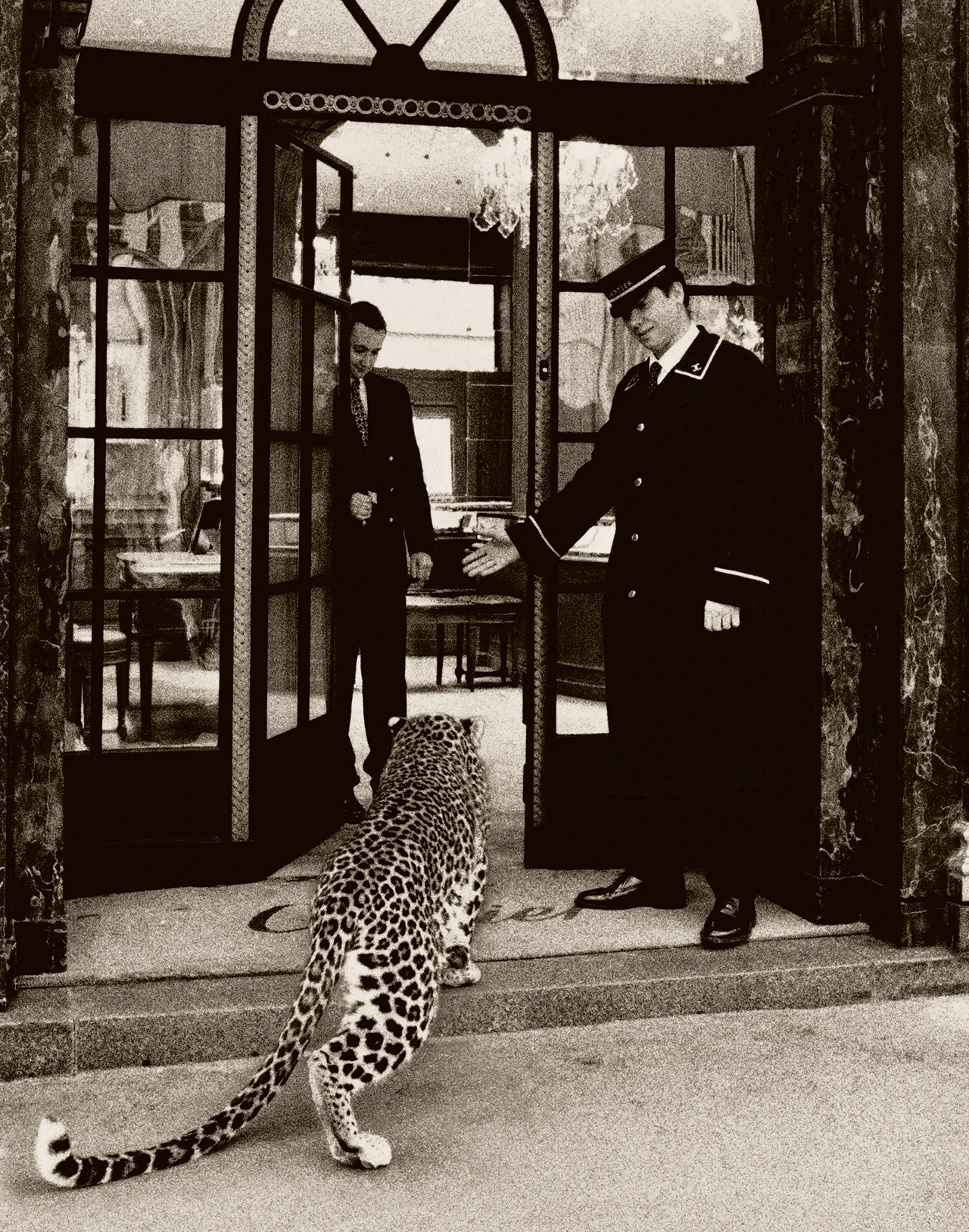 Image designed for Cartier by Nicole Wisniak and published in the magazine, Egoïste, No.14, 2000