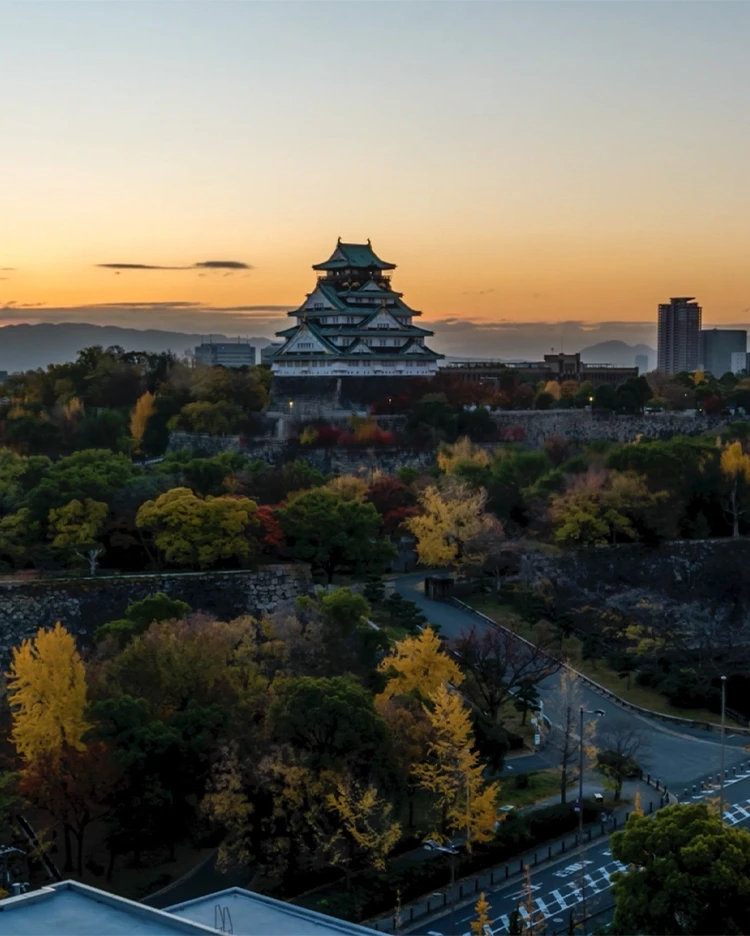 chapter-4-article-3.FullscreenVideo.coverImageAlt