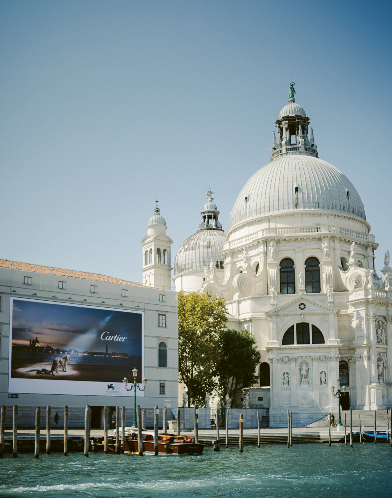 Photo of the Venice International Film Festival