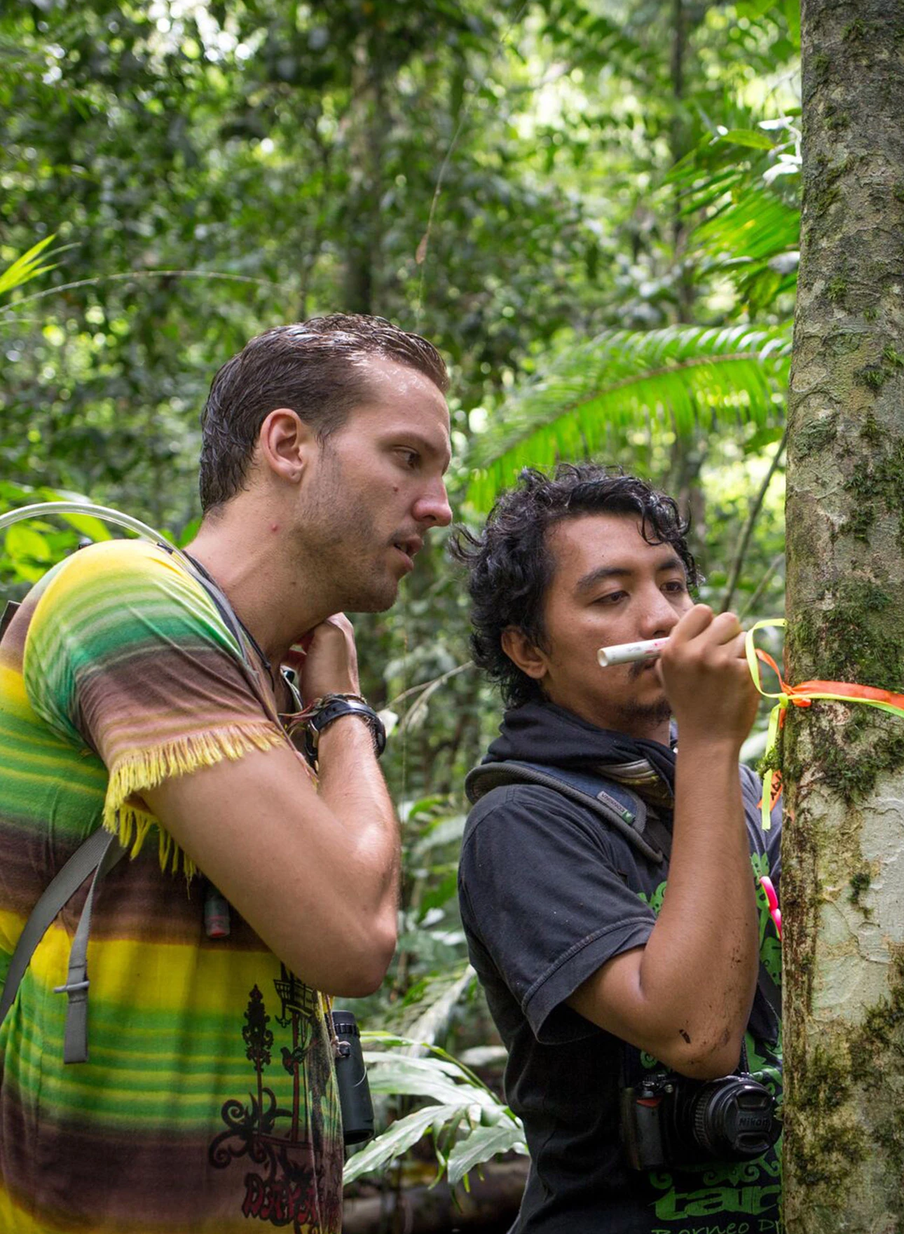 Photo of 2 men marking a tree in a tropical jungle