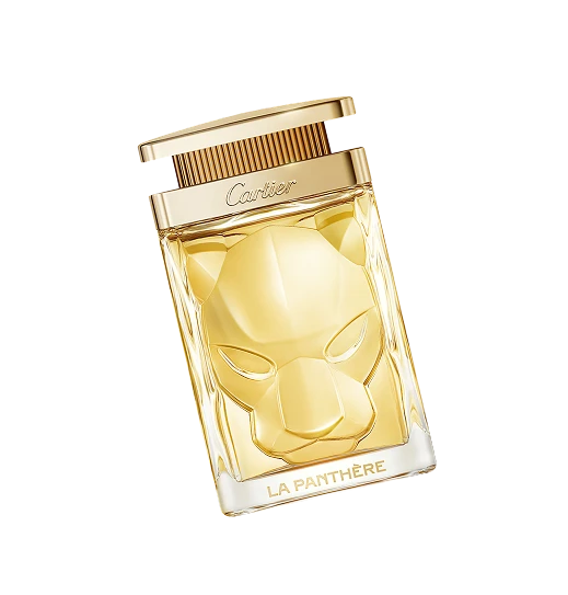 chapter-5-article-3.Quiz.altTags.5