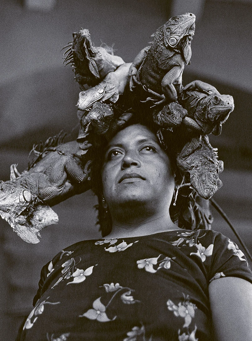 Graciela Iturbide, Nuestra Señora de las Iguanas, Juchitán, México, 1979, Tirage moderne, 50 x 40 cm