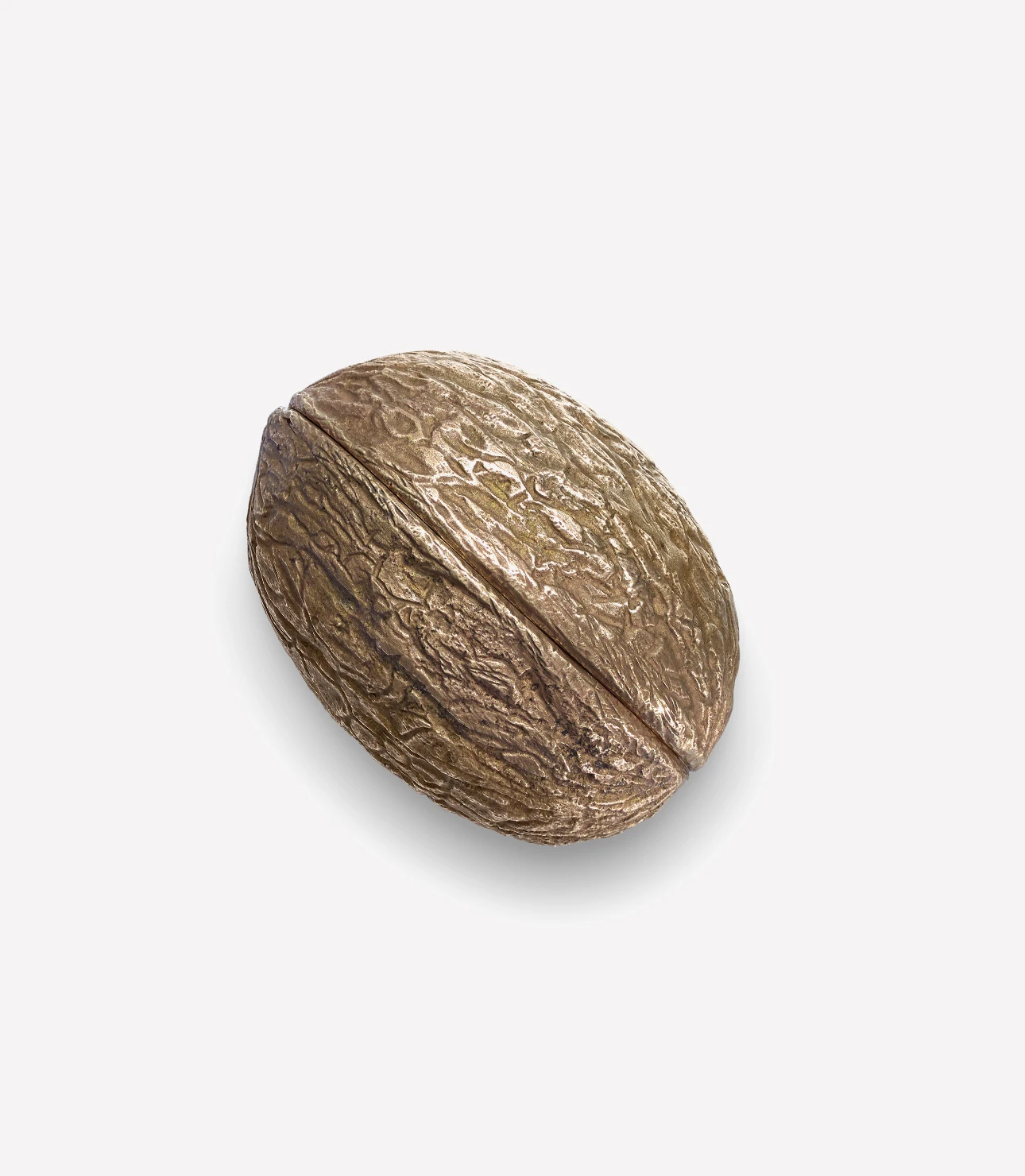 Photo of a walnut shell